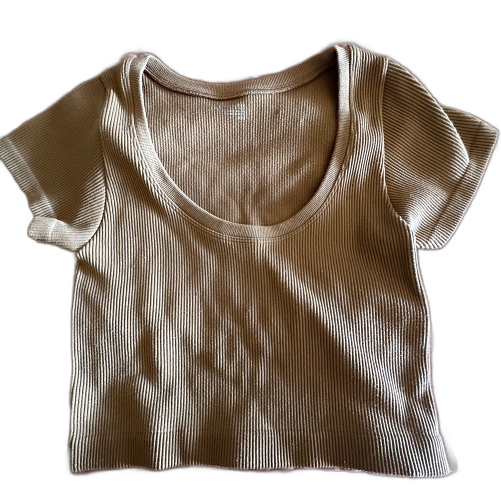 Aerie Tan Ribbed Crop Top